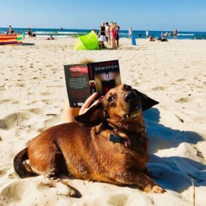 Pies leży na plaży, zanim człowiek czytający książkę, w tle ludzie i morze