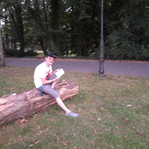 Mężczyzna trzymający książkę siedzi na konarze drzewa w parku